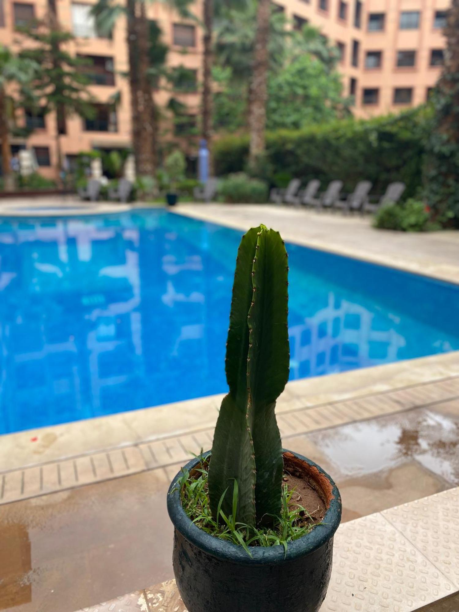 Residence Caprice Palace Hivernage Marrakesh Eksteriør bilde